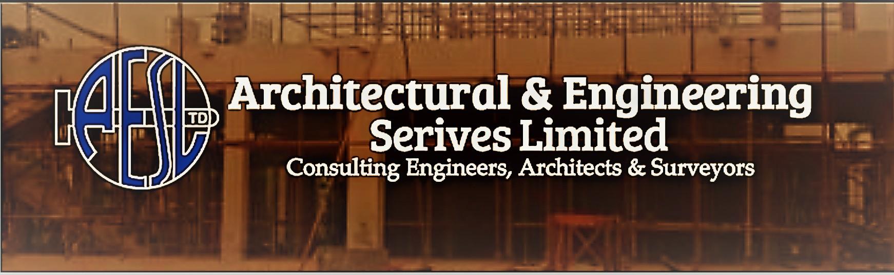 AESL Appeals for Greater Share of Government Consultancy Projects